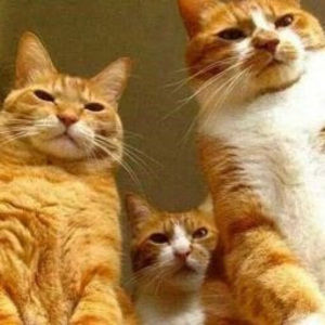 Meet your Posher, Kayli